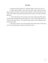 Dekoratyvinių medžių ir krūmų komponavimas gėlyne, gėlyno įrengimas 13 puslapis