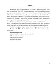 Dekoratyvinių medžių ir krūmų komponavimas gėlyne, gėlyno įrengimas 3 puslapis