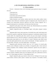 Dekoratyvinių medžių ir krūmų komponavimas gėlyne, gėlyno įrengimas 7 puslapis