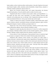 Dekoratyvinių medžių ir krūmų komponavimas gėlyne, gėlyno įrengimas 8 puslapis