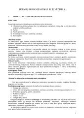 Derybų organizavimas ir jų vedimas 2 puslapis