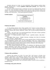 Derybų organizavimas ir jų vedimas 12 puslapis