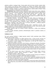 Derybų organizavimas ir jų vedimas 14 puslapis