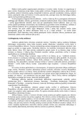 Derybų organizavimas ir jų vedimas 4 puslapis