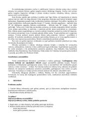 Derybų organizavimas ir jų vedimas 5 puslapis