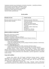 Derybų organizavimas ir jų vedimas 8 puslapis