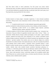 Deviacijos ir nusikalstamumo aiškinimai 13 puslapis