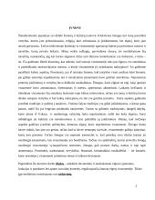 Deviacijos ir nusikalstamumo aiškinimai 3 puslapis