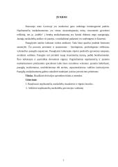 Deviacijos problemų sprendimo gairės 2 puslapis