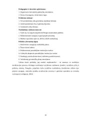 Deviacijos problemų sprendimo gairės 11 puslapis