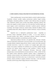 Deviacijos problemų sprendimo gairės 12 puslapis