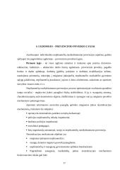 Deviacijos problemų sprendimo gairės 18 puslapis