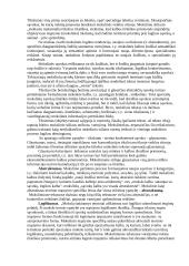 Mokslinis stilius 2 puslapis