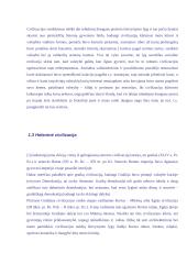 Deviantinės subkultūros pasaulio istorijoje 4 puslapis