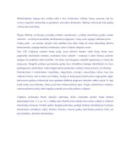 Deviantinės subkultūros pasaulio istorijoje 5 puslapis