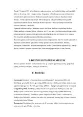 Didžiausi pasaulio miestai 6 puslapis