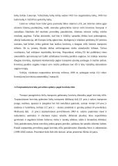 Tarptautinių pervežimų sausumos transportu Lietuvoje analizė 5 puslapis