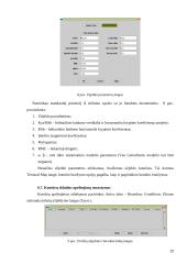 Dirvožemio taršos modeliavimas 20 puslapis