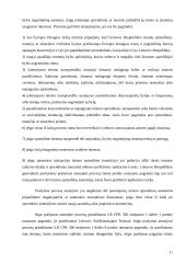 Dokumentinis procesas 11 puslapis