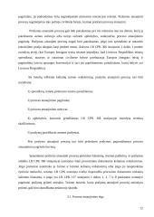 Dokumentinis procesas 12 puslapis