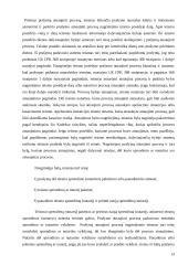 Dokumentinis procesas 13 puslapis