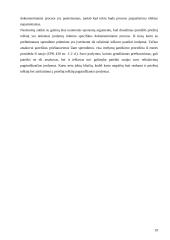 Dokumentinis procesas 19 puslapis