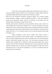 Dokumentinis procesas 20 puslapis