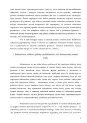 Dokumentinis procesas 5 puslapis
