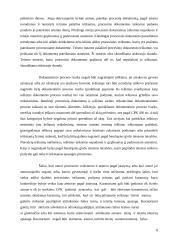 Dokumentinis procesas 8 puslapis