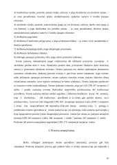 Dokumentinis procesas 10 puslapis