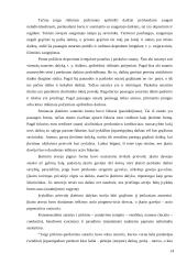 Dovanojimo sutarties raida romėnų teisėje 14 puslapis