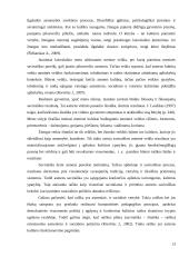 Akademinio jaunimo meninės saviraiškos poreikio patenkinimo galimybės Klaipėdos aukštosiose mokyklose 12 puslapis