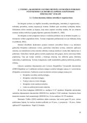 Akademinio jaunimo meninės saviraiškos poreikio patenkinimo galimybės Klaipėdos aukštosiose mokyklose 17 puslapis