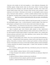 Drabužių asortimentą formuojantys veiksniai 14 puslapis
