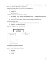 Drabužių asortimentą formuojantys veiksniai 6 puslapis