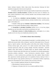 Draudimas ir jo vaidmuo rinkos ekonomikoje 13 puslapis