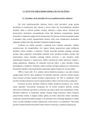 Draudimas ir jo vaidmuo rinkos ekonomikoje 18 puslapis