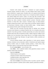 Draudimas ir jo vaidmuo rinkos ekonomikoje 3 puslapis