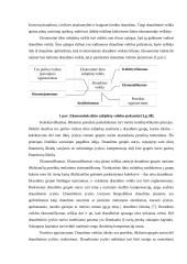 Draudimas ir jo vaidmuo rinkos ekonomikoje 6 puslapis