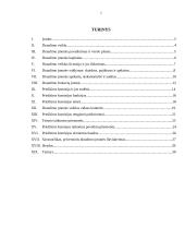 Draudimo įmonių valdymas ir kontrolė 2 puslapis