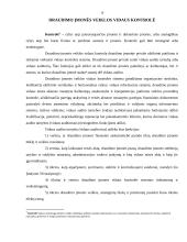 Draudimo įmonių valdymas ir kontrolė 19 puslapis