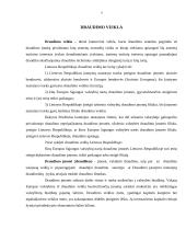 Draudimo įmonių valdymas ir kontrolė 4 puslapis