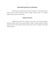 Draudimo įmonių valdymas ir kontrolė 5 puslapis