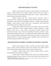 Draudimo įmonių valdymas ir kontrolė 8 puslapis