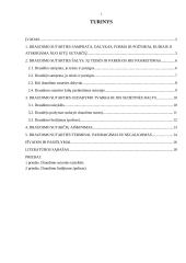 Draudimo sutartis, jos pagrindiniai požymiai 2 puslapis