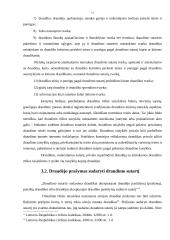 Draudimo sutartis, jos pagrindiniai požymiai 12 puslapis