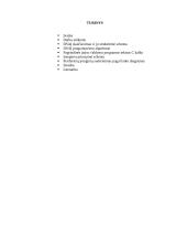 Duomenų surinkimo ir apdorojimo įtaiso projektavimas 2 puslapis