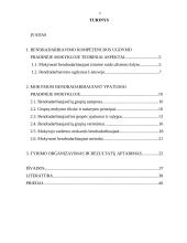 Bendradarbiavimo kompetencijos ugdymo ypatumai pradinėje mokykloje 2 puslapis