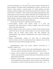 Bendradarbiavimo kompetencijos ugdymo ypatumai pradinėje mokykloje 17 puslapis