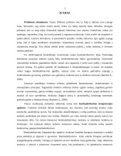 Bendradarbiavimo kompetencijos ugdymo ypatumai pradinėje mokykloje 3 puslapis